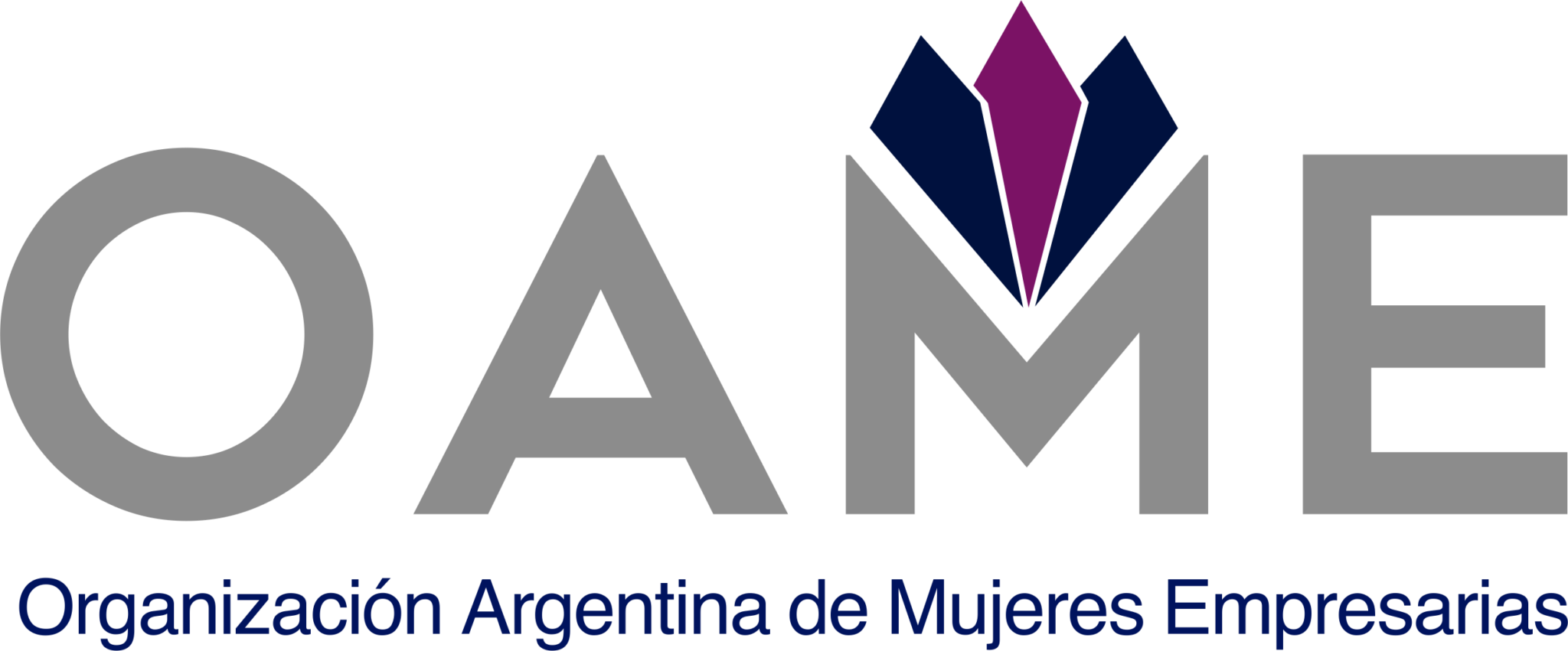 Logo OAME - color (1)
